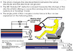 Steering Wheel Sensing